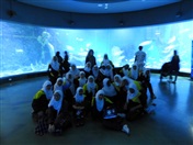 Year 7A Excursion: Melbourne Aquarium
