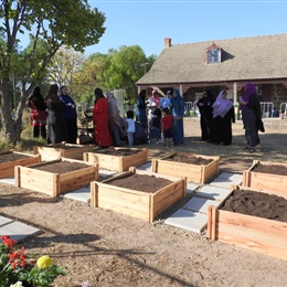 Community Gardens: Mums Working Bees