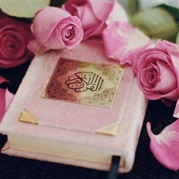 Ladies Online Qur'an Program