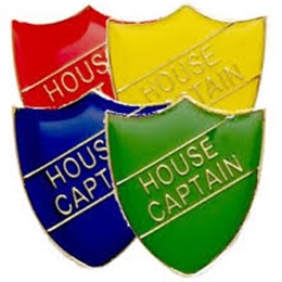 Introducing Our 2019 House Captains