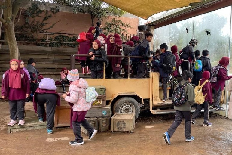 Year 4 Visit to Werribee Zoo