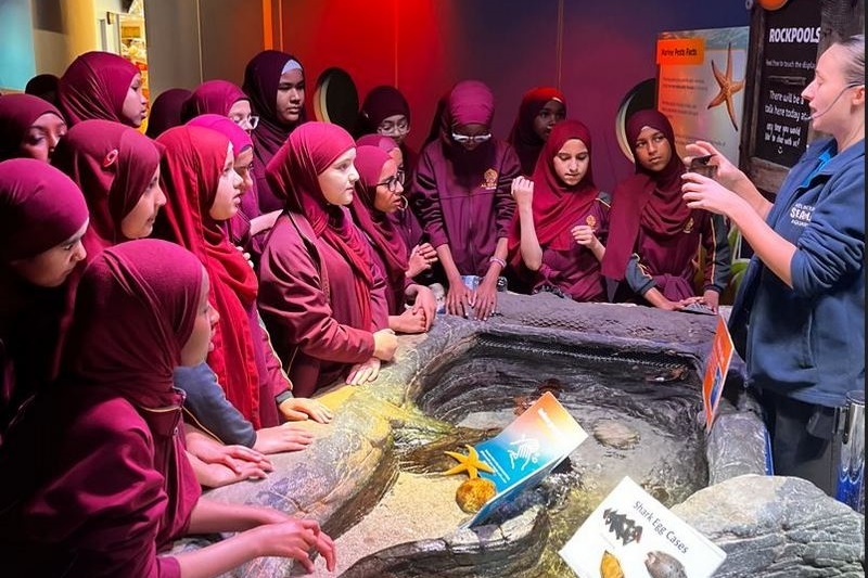 Year 6's Exploring Animal Adaptations