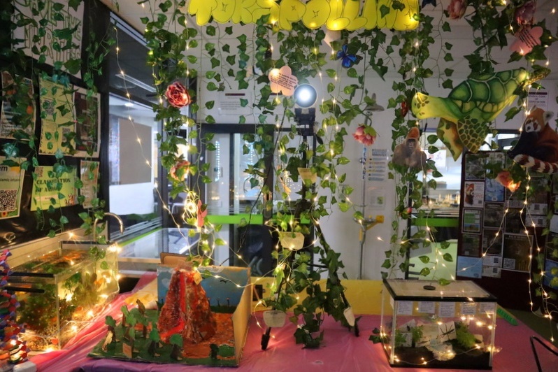 Secondary Exhibition: A Journey Through Knowledge