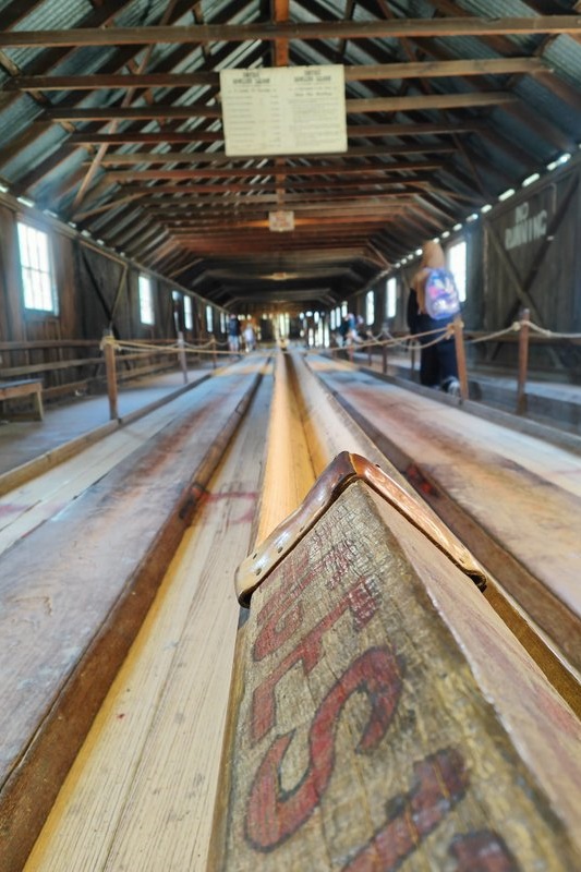 Year 4 Camp: Sovereign Hill