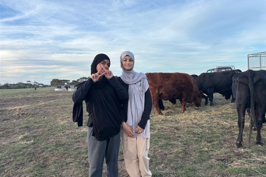 Year 8 Camp Kangaroobie 2025