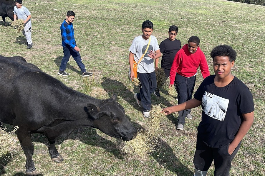 Year 8 Camp Kangaroobie 2025