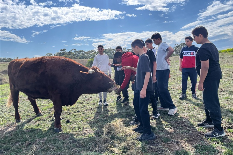 Year 8 Camp Kangaroobie 2025