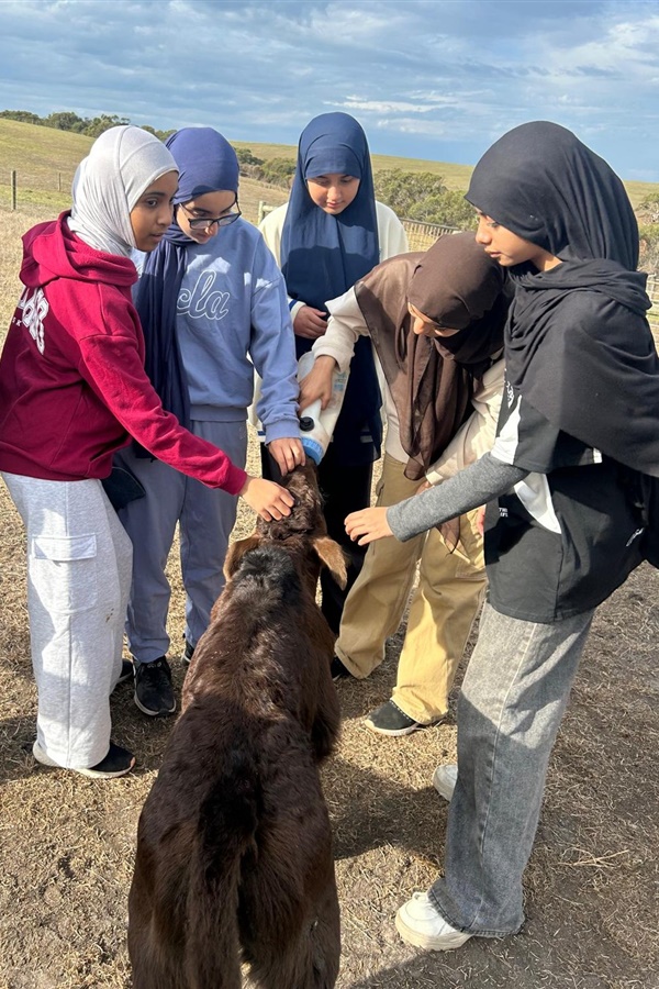 Year 8 Camp Kangaroobie 2025