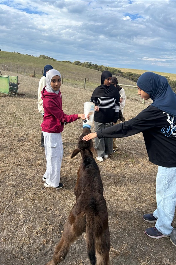 Year 8 Camp Kangaroobie 2025