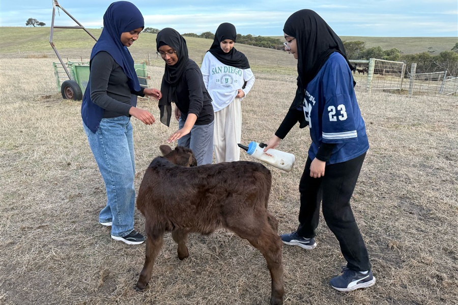 Year 8 Camp Kangaroobie 2025