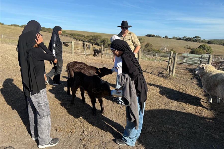 Year 8 Camp Kangaroobie 2025