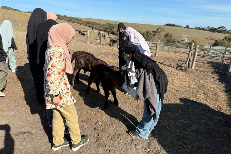 Year 8 Camp Kangaroobie 2025