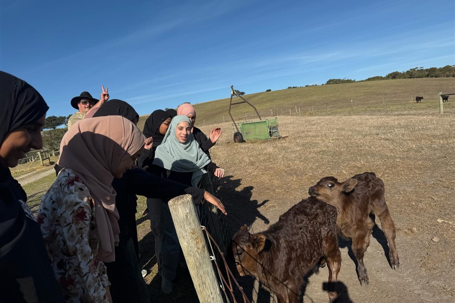 Year 8 Camp Kangaroobie 2025