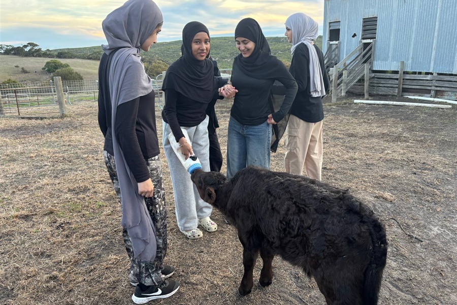 Year 8 Camp Kangaroobie 2025