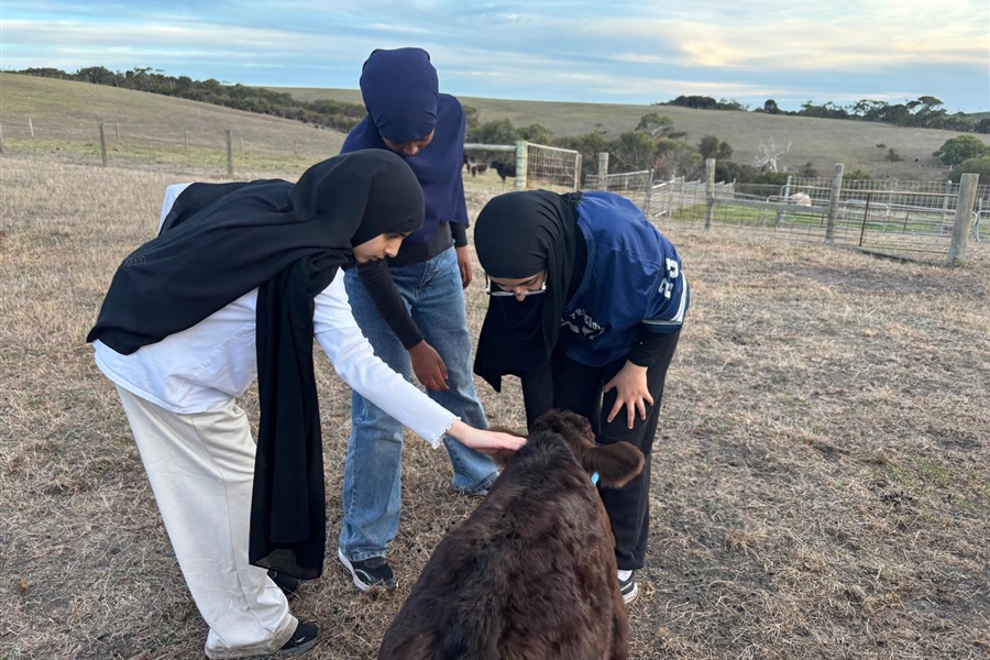Year 8 Camp Kangaroobie 2025