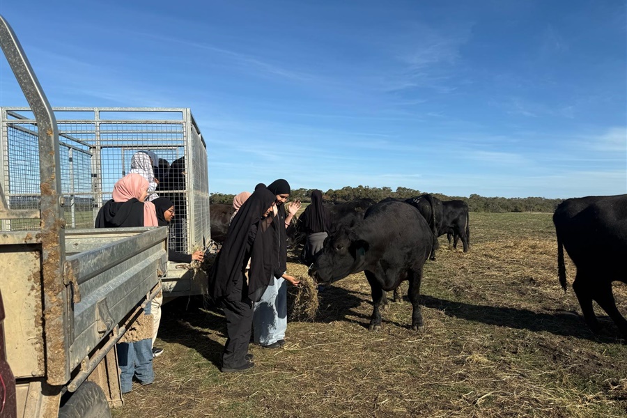 Year 8 Camp Kangaroobie 2025