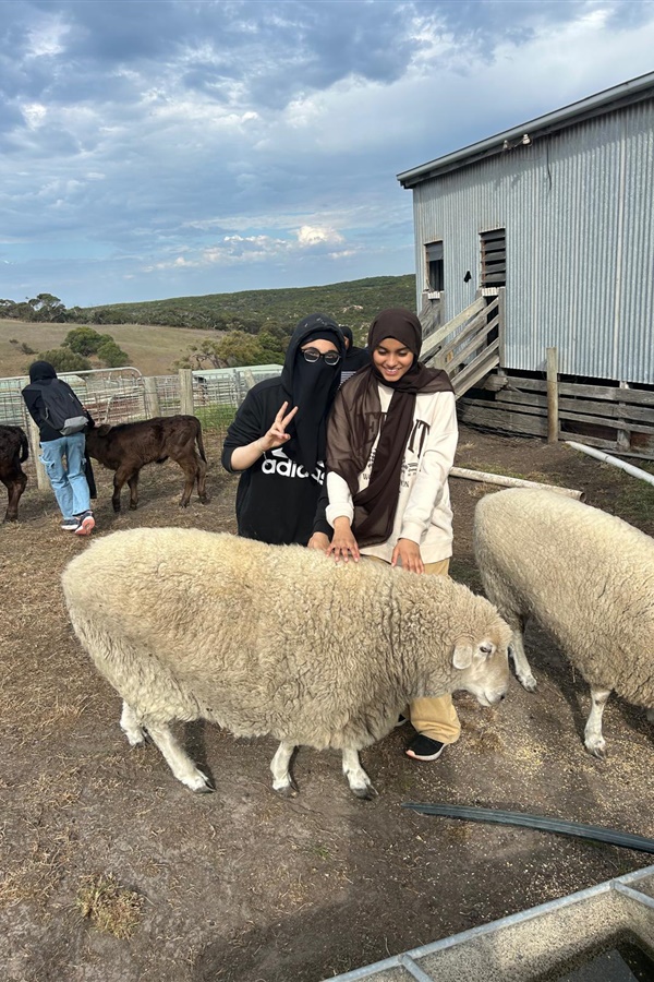 Year 8 Camp Kangaroobie 2025