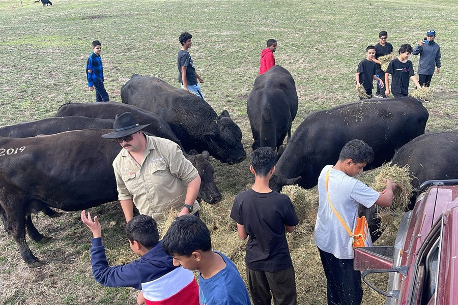 Year 8 Camp Kangaroobie 2025