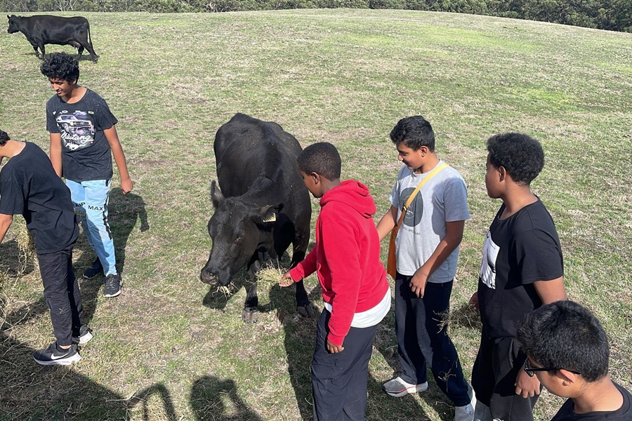 Year 8 Camp Kangaroobie 2025