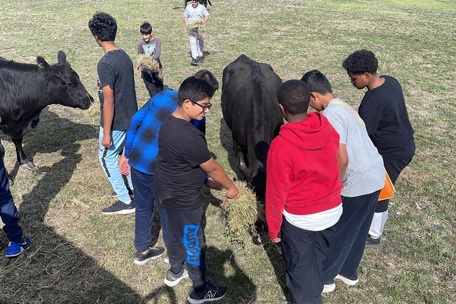 Year 8 Camp Kangaroobie 2025