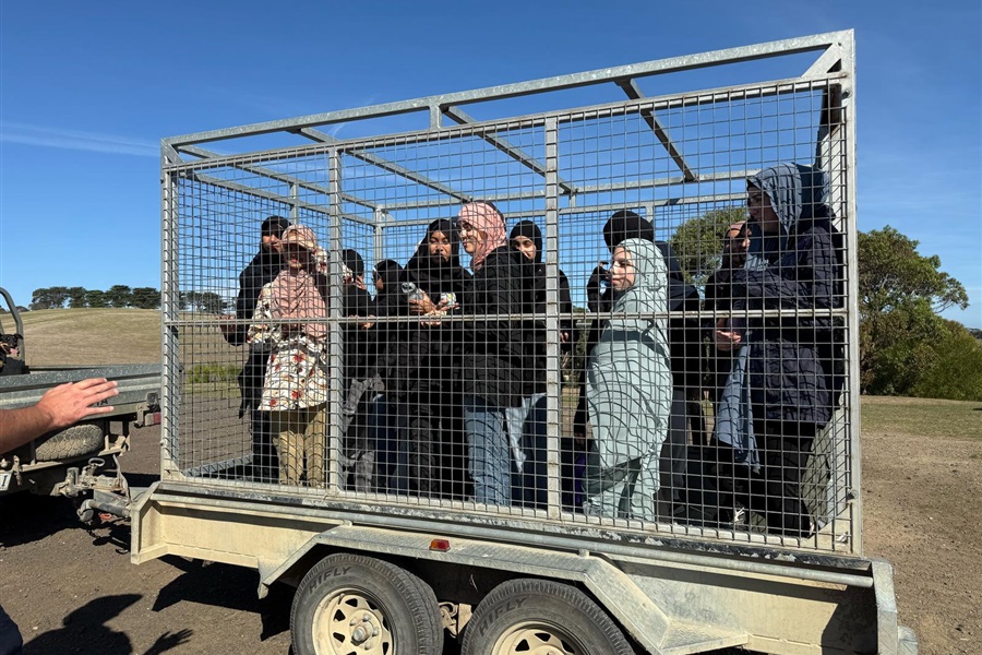 Year 8 Camp Kangaroobie 2025