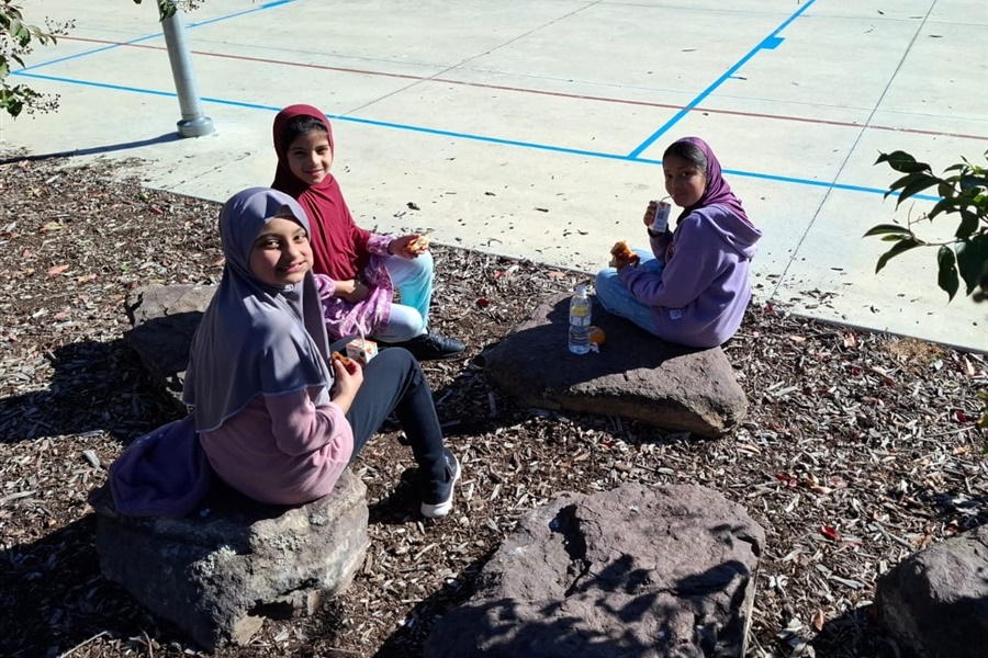 Grade 3 Sleepover