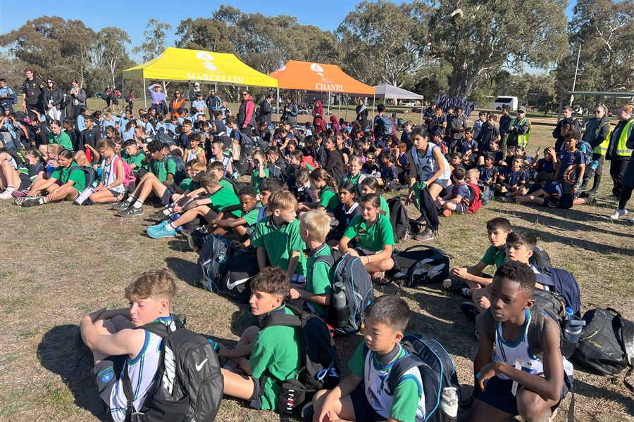 SSV Cross Country 2025