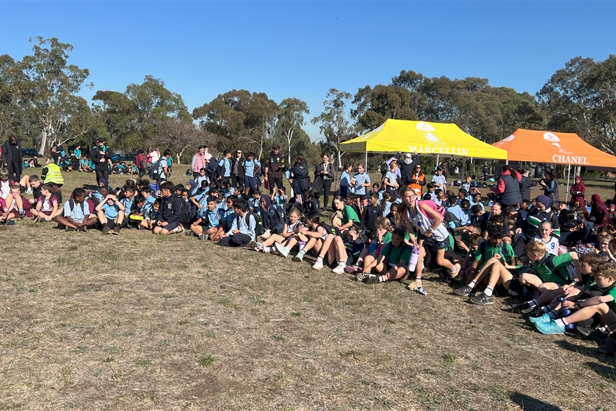 SSV Cross Country 2025