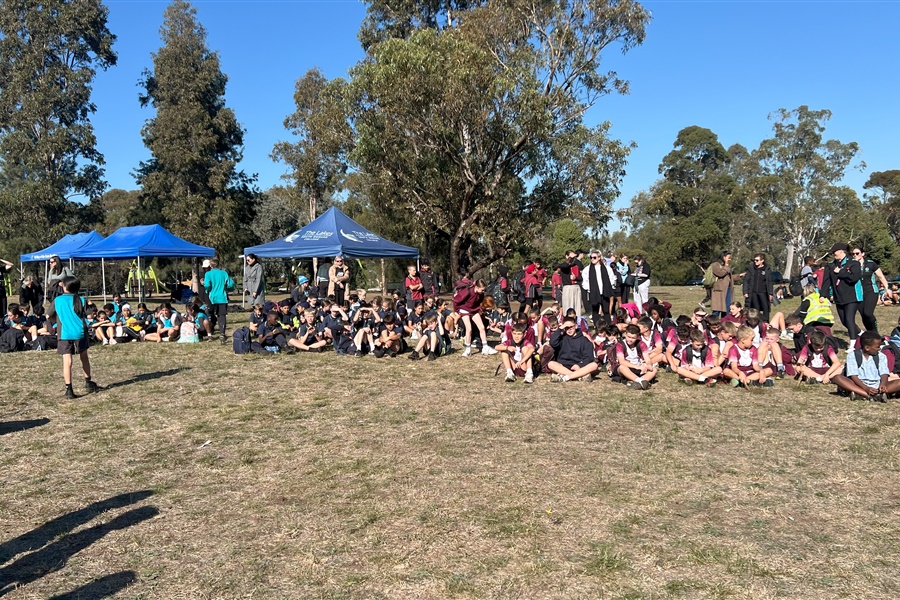 SSV Cross Country 2025