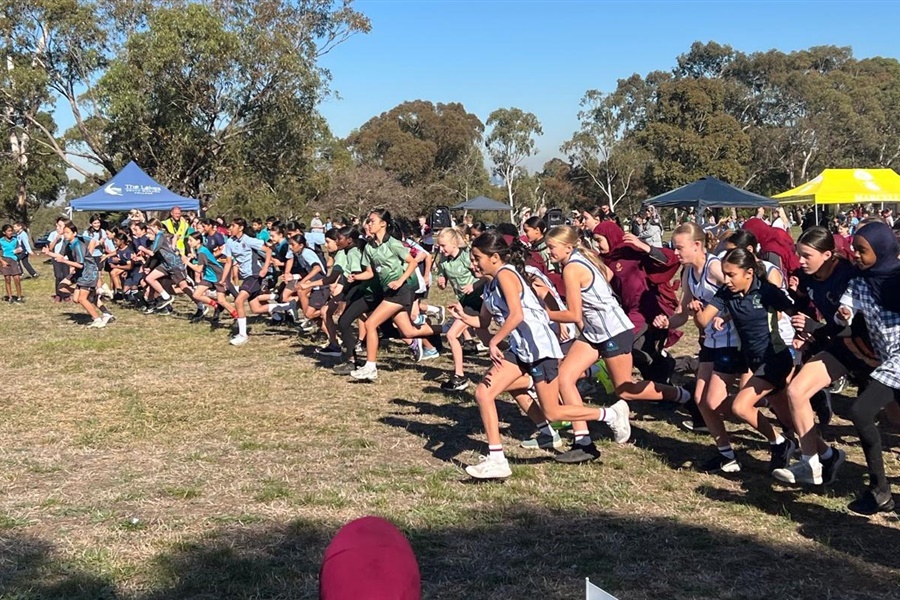 SSV Cross Country 2025