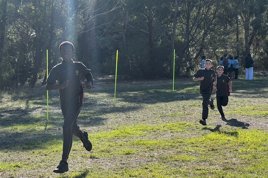 SSV Cross Country 2025
