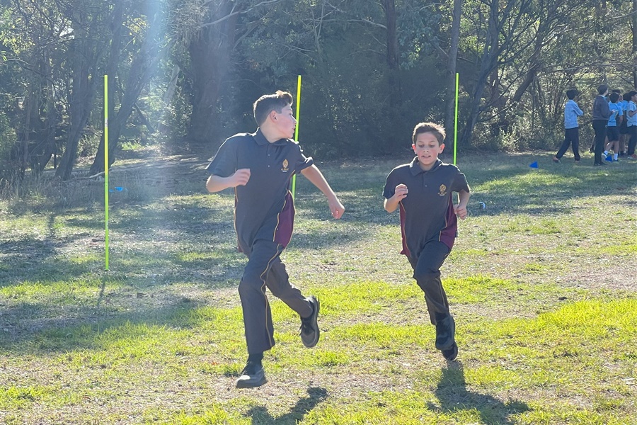 SSV Cross Country 2025