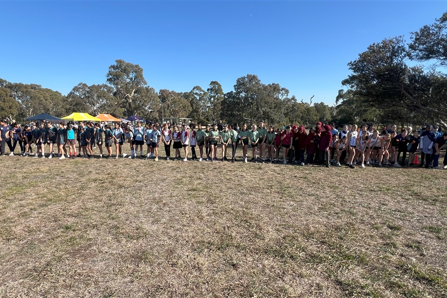 SSV Cross Country 2025