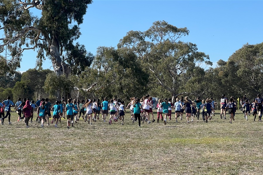 SSV Cross Country 2025