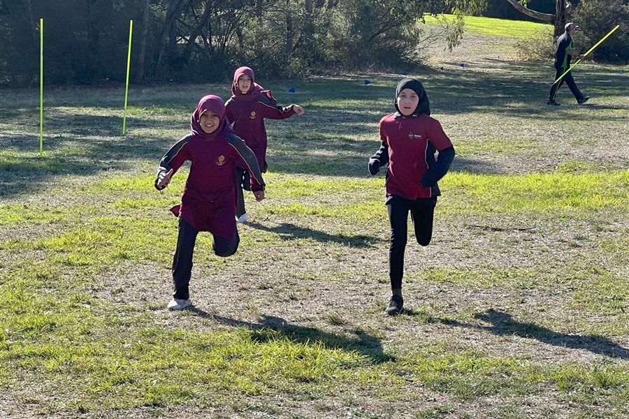 SSV Cross Country 2025