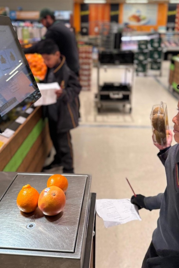 Grade 3 Woolworths Excursion