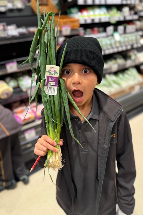 Grade 3 Woolworths Excursion