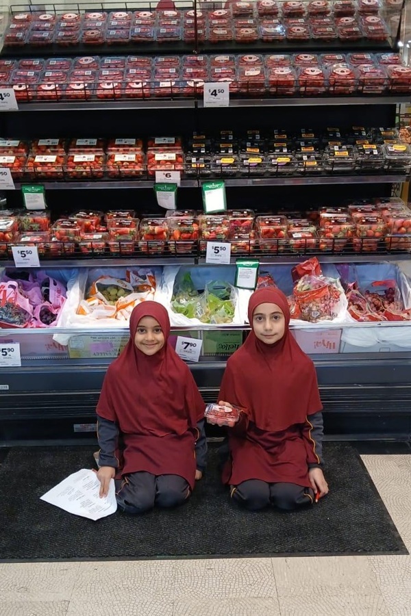 Grade 3 Woolworths Excursion