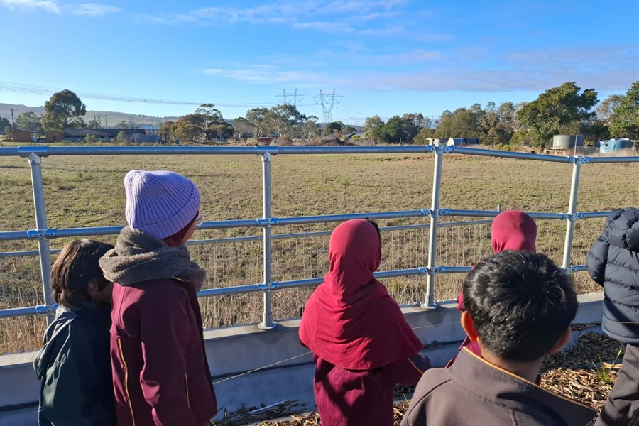 Grade 3 Woolworths Excursion