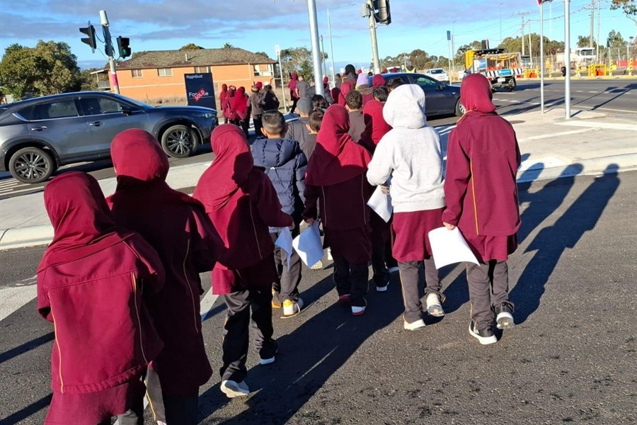 Grade 3 Woolworths Excursion