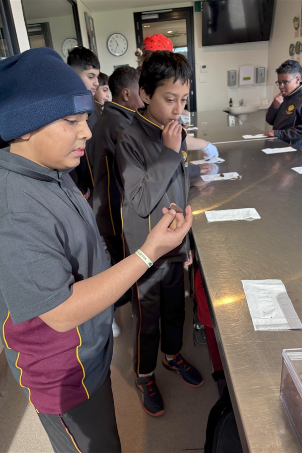 Year 6 Excursion to Yarra Valley Chocolaterie