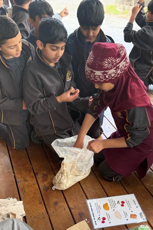 Year 3 Excursion: Restoring Earth’s Ecosystems