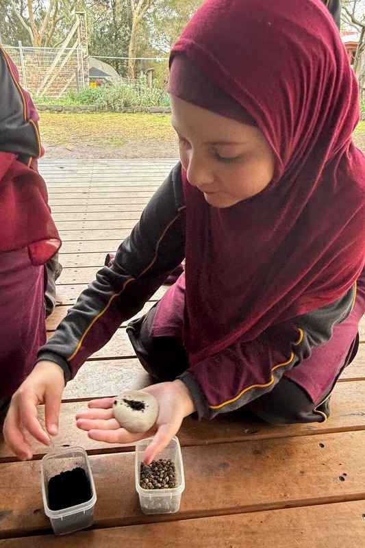 Year 3 Excursion: Restoring Earth’s Ecosystems