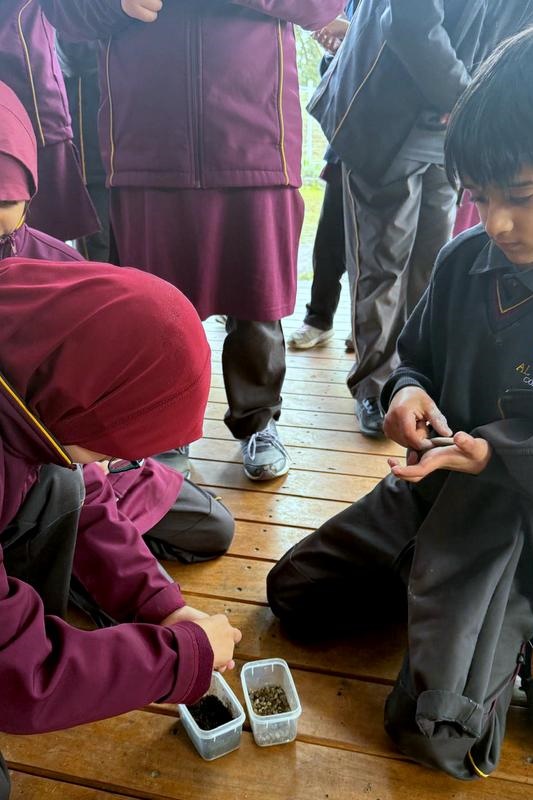 Year 3 Excursion: Restoring Earth’s Ecosystems