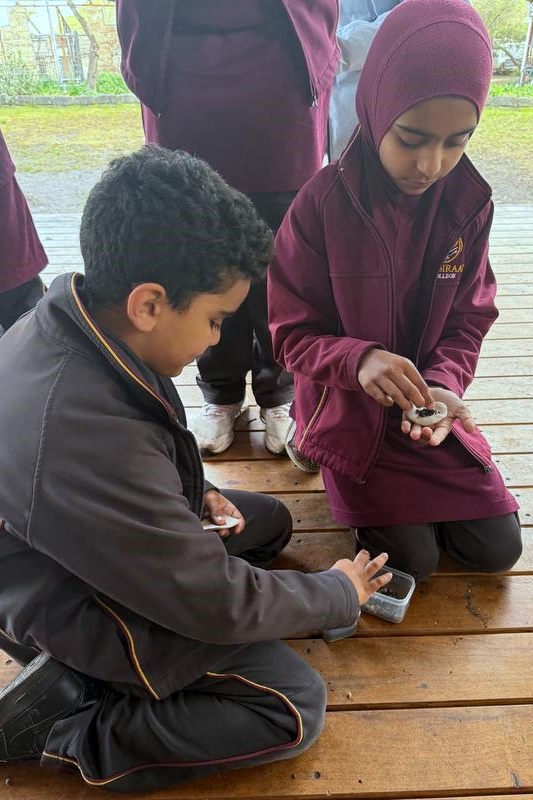 Year 3 Excursion: Restoring Earth’s Ecosystems