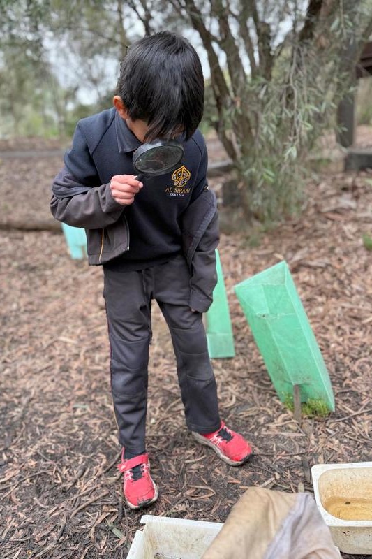 Year 3 Excursion: Restoring Earth’s Ecosystems