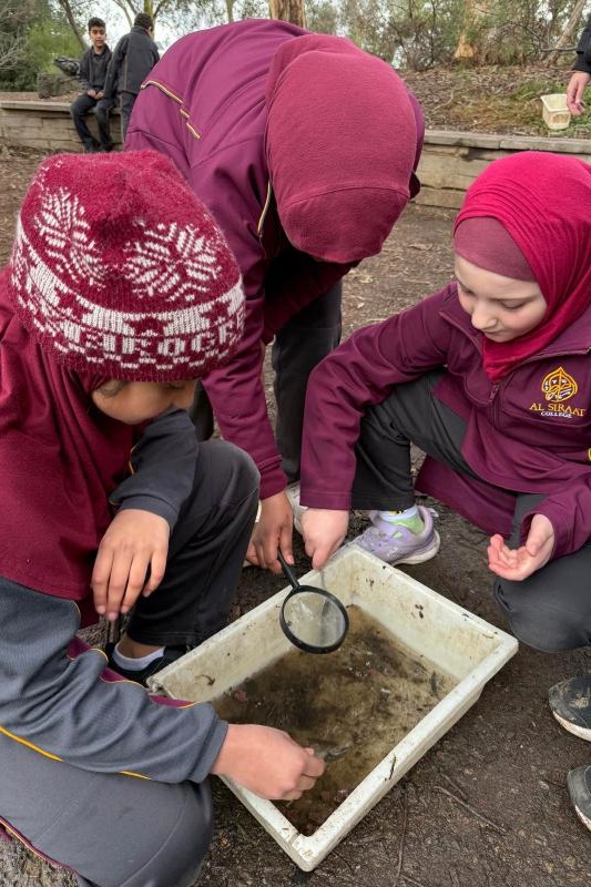 Year 3 Excursion: Restoring Earth’s Ecosystems