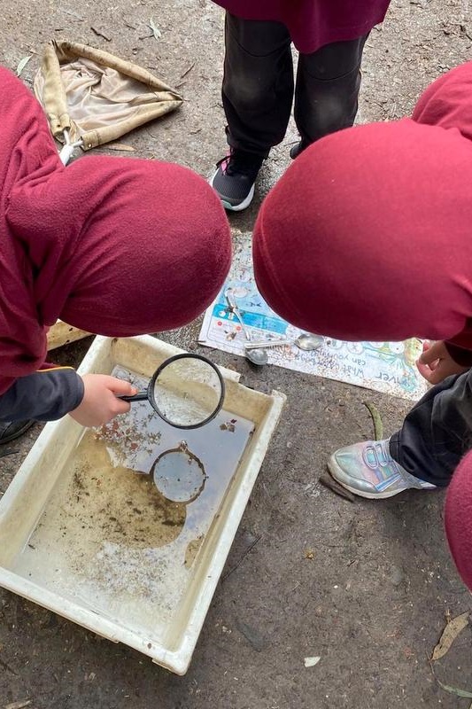 Year 3 Excursion: Restoring Earth’s Ecosystems