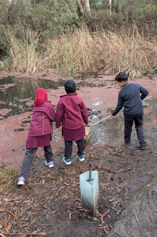 Year 3 Excursion: Restoring Earth’s Ecosystems