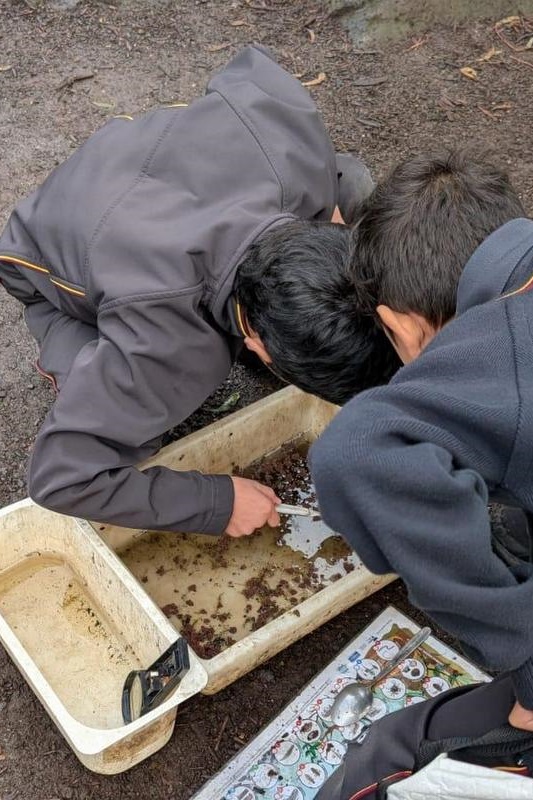 Year 3 Excursion: Restoring Earth’s Ecosystems